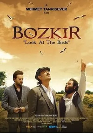 Посмотри на птиц (2019)
