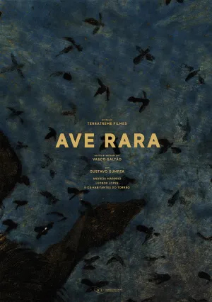 Редкая птица (2019)
