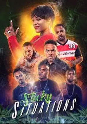 Серьёзный переплёт (2019)