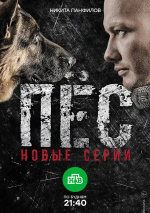 Пёс (сериал 2015)