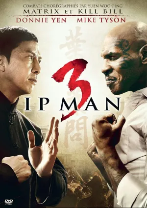 Ип Ман 3D (2015)