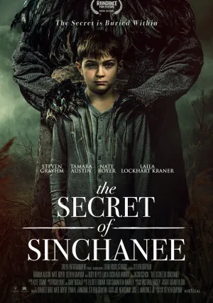 Секрет Синчани (2021)
