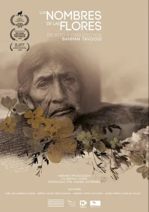 Имена цветов (2019)