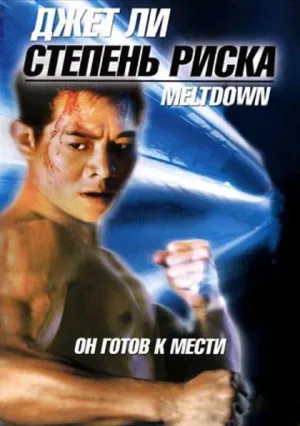 Степень риска (1995)