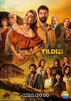 Полярная звезда (сериал 2019)