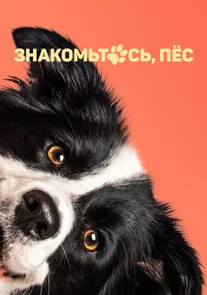 Знакомьтесь, пёс (2022)