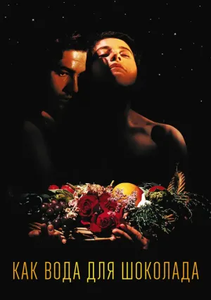 Как вода для шоколада (1991)