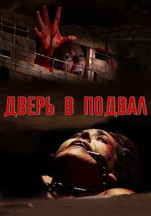 Дверь на чердак (2007)