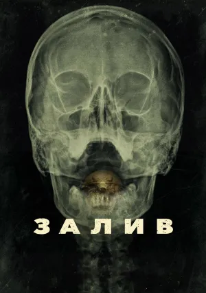 Залив (2012)