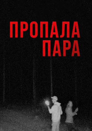 Пропала пара (2024)