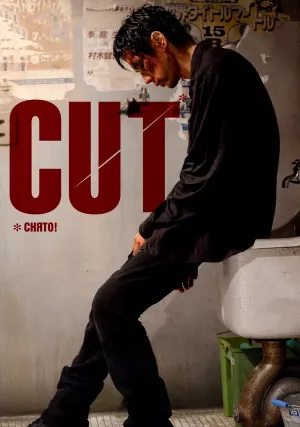 Снято! (2011)