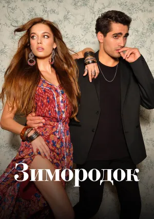 Зимородок (сериал 2022)
