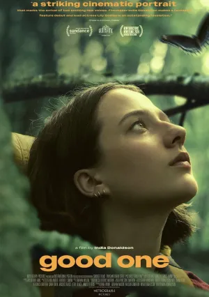 Хорошенькая (2024)