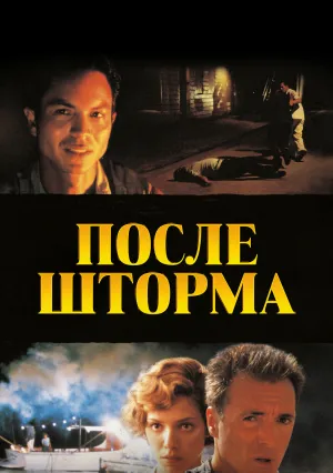 После шторма (2001)