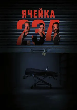 Ячейка 234 (2024)