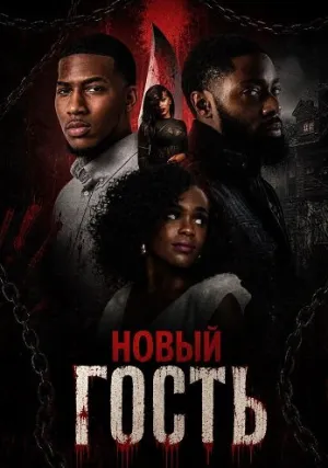 Новый гость (2025)